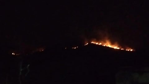 Fire Katraj Ghat Forest department staff are working to extinguish fire pune