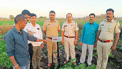 lakdya hanuman farm