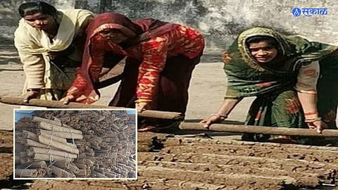 Cow Dung Wood