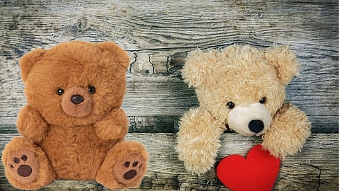 Teddy Day 2023
