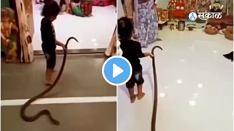 Viral Video