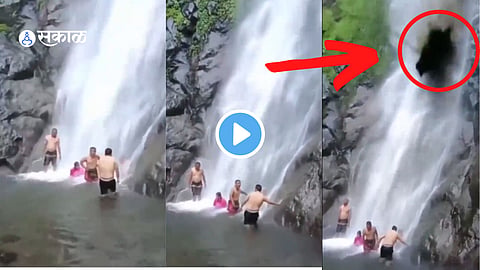 Viral Video
