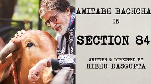 amitabh bachchan, section 84 