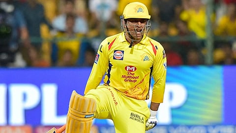 MS Dhoni | Cricket News in Marathi