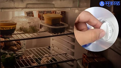 Fridge Caring Tips