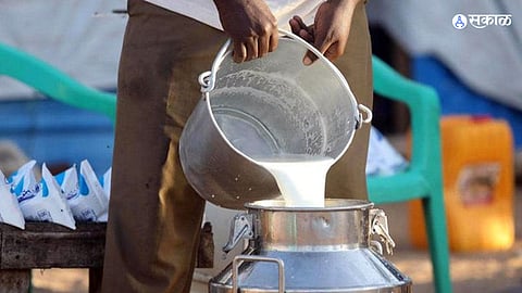 Milk Price 