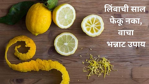 Lemon Peel Use