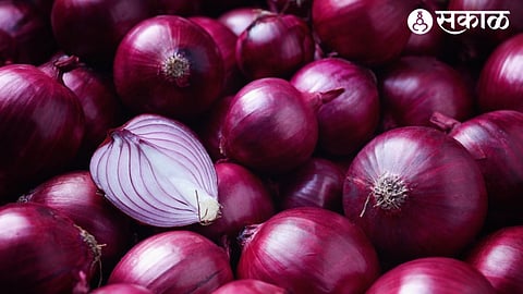 Red Onion News