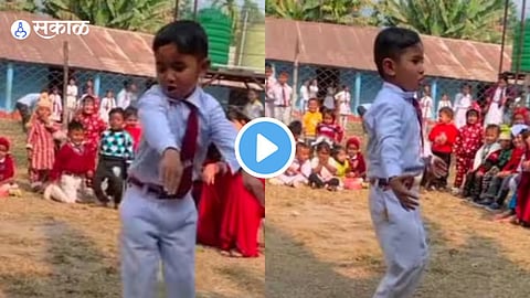Video VIral 
