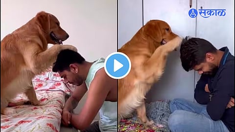 Viral Video 