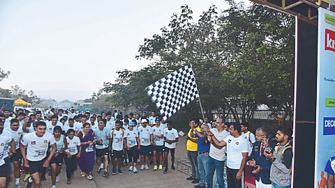 Runners participating in the Sahyadri Vineyard Ultra Run.