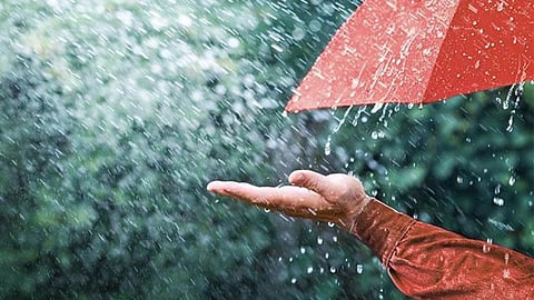 World Meteorological Day 