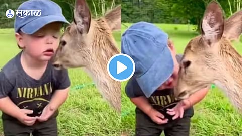 Video Viral