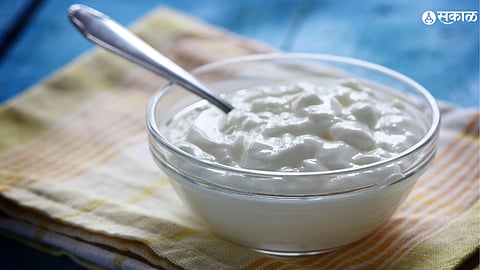 Curd


