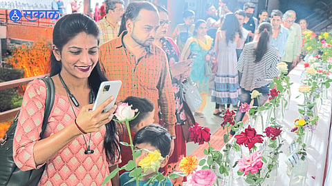 NMC Flower Festival