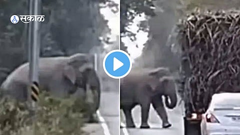 Viral Video