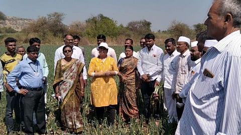 Ambegaon Panchnama immediately for crops damaged Tehsildar Rama Joshi pune