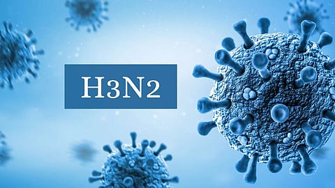 Pune H3N2 Update 