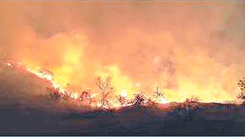 Dhule Fire