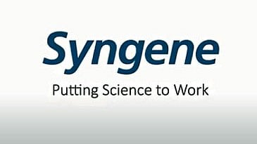 syngene 