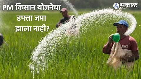 PM Kisan Yojana : आठवडा उलटला तरी PM किसान योजनेचा हफ्ता जमा झाला नाही?

