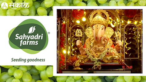 Dagdusheth Ganpati mandir & sahyadri farms