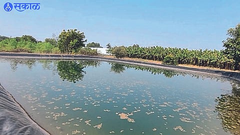 Developed farmlake 