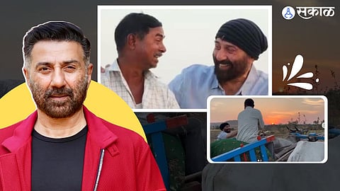 Sunny Deol viral video 