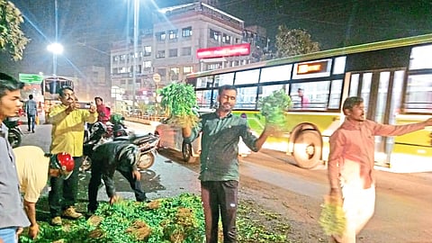 During the free distribution of leafy vegetables like fenugreek and coriander, farmers and citizens gathered to collect them.