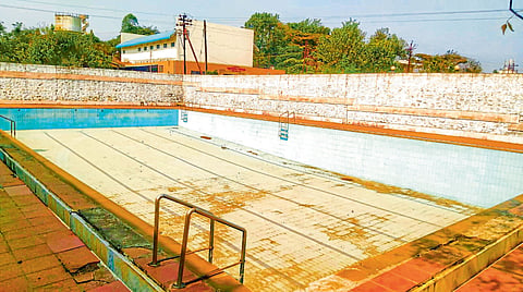 swimming 