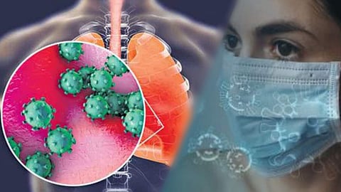 H3N2 Influenza