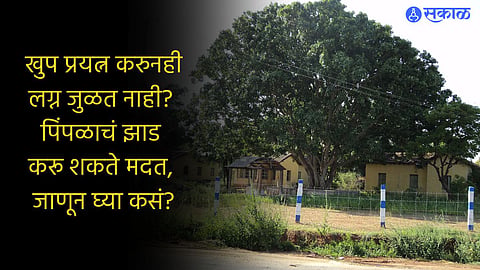  Peepal Tree Benefits