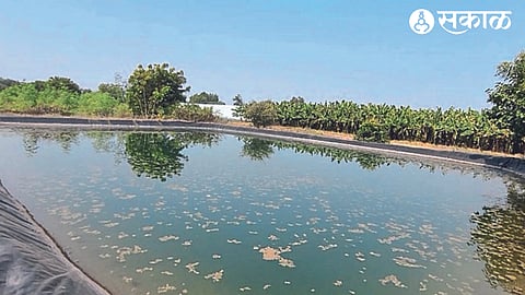 Developed farms pond