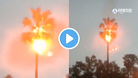 Viral Video