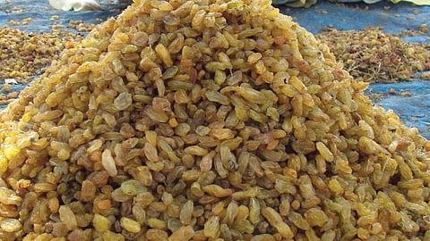 bedane prices also fell135 to 160 rupees rate dry fruits food