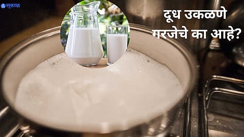Hot Milk Benefits