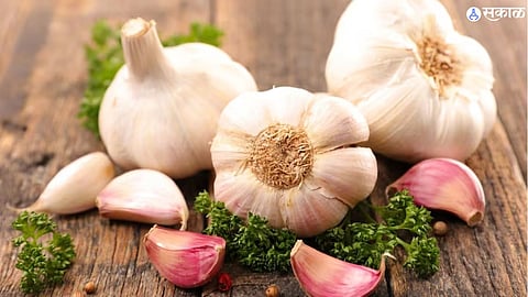 Garlic Benefits