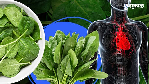 Energy Booster Vegetables