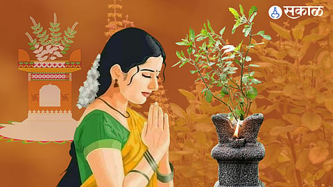 तुळशीच्या रोपाचे फायदे