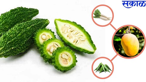 Health Tips 