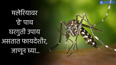 World Malaria Day 