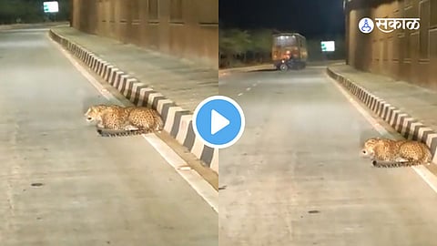 Viral Video