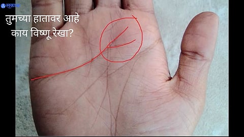 Palmistry 