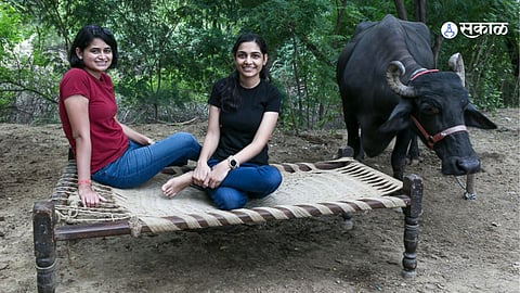 IIT Delhi roommates launch cattle trading platform, revenue jumps to 565 Crore