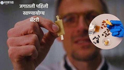 Edible Battery