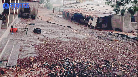 Heavy rains in Aundane, Tarsali area on Saturday (15th) caused damage to summer onions.
