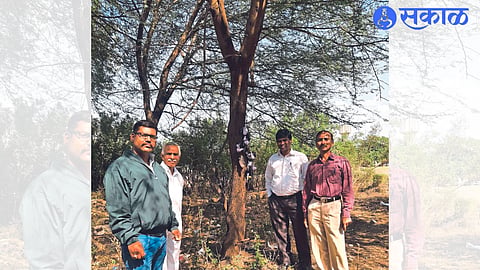 Rajendra Fegde, Sudesh Ghoderao, Vijay Khanderao, Rajesh Shinde of 'Annis' while inspecting the dolls, lemons and chillies hanging on the acacia tree in Gorewadi.