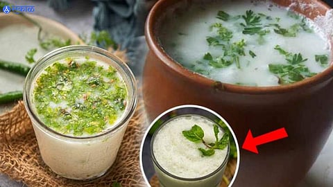 Masala Tak