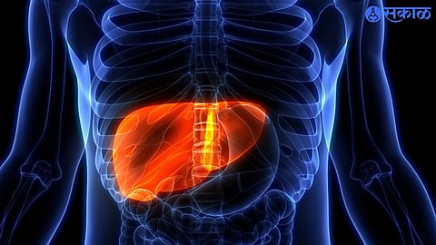 Liver Damage Signs