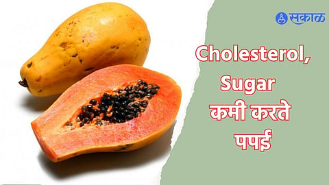 Papaya In High Cholesterol 